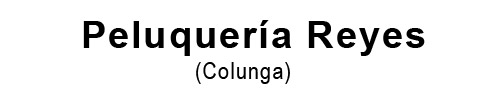 Peluquer&iacute;a Reyes